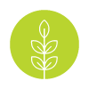 simple green circular logo featuring a tree design representing growth and nature inspired by six elements of life
