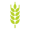 green crab illustration representing ocean wildlife and marine life number 17 related to nature