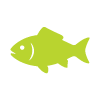 green fish icon representing aquatic life and biodiversity 14 species fish in nature