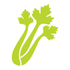 green snail illustration with spiral shell representing nature and growth 7 unique elements