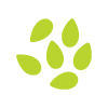 green peas in pod healthy snack nutrition 4 benefits