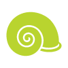green wheat grain symbol representing agriculture and nature sustainable farming practices